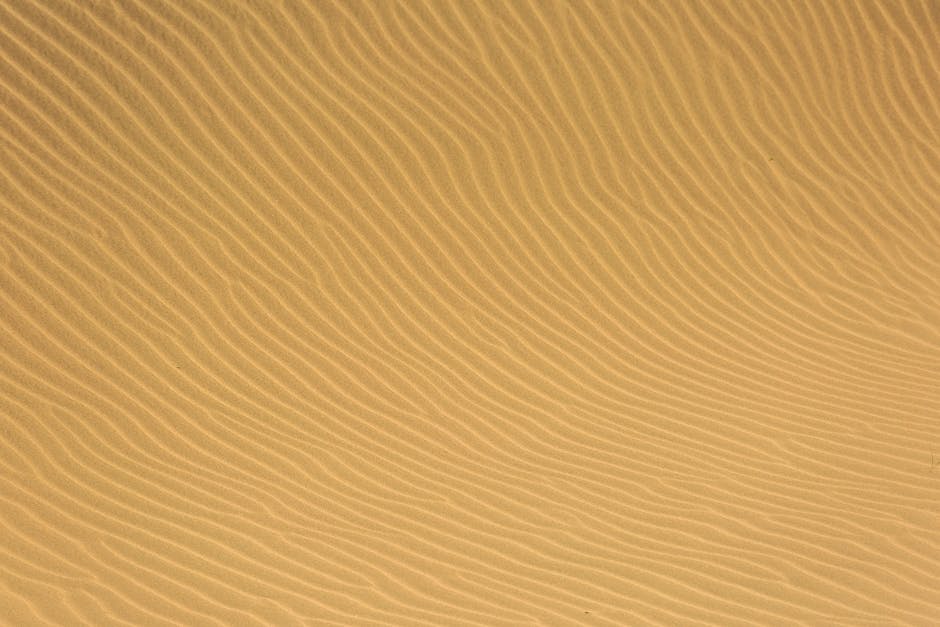 7 : img_5 - Textured sand dunes representing a calm and clear path to support